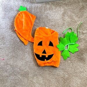 Infant pumpkin costume
